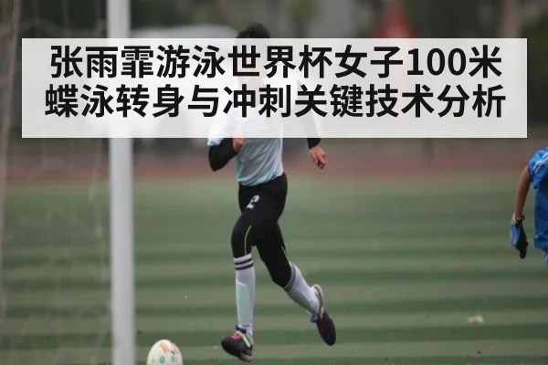 张雨霏游泳世界杯女子100米蝶泳转身与冲刺关键技术分析